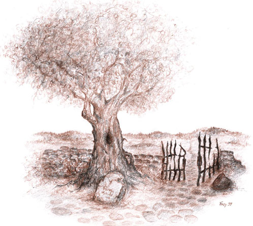 Alter_Baum